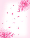 花纹