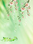 花纹