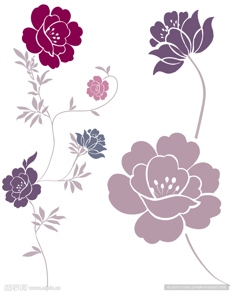 花纹
