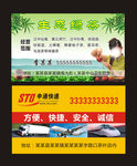 绿茶名片