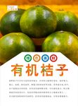 桔子海报