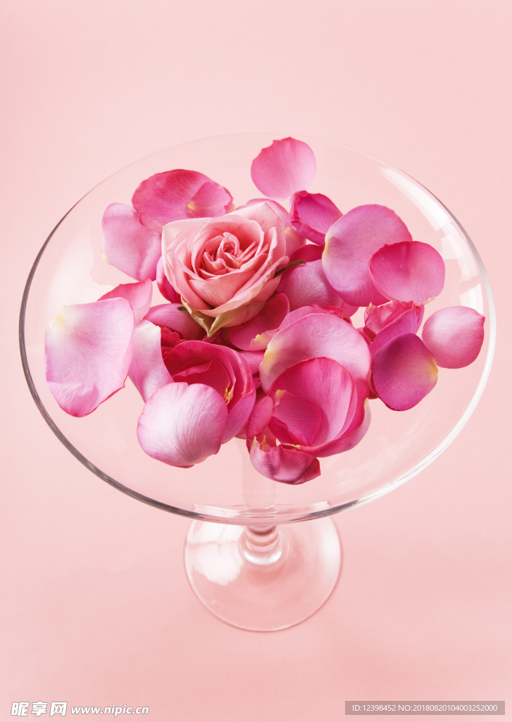 玫瑰花