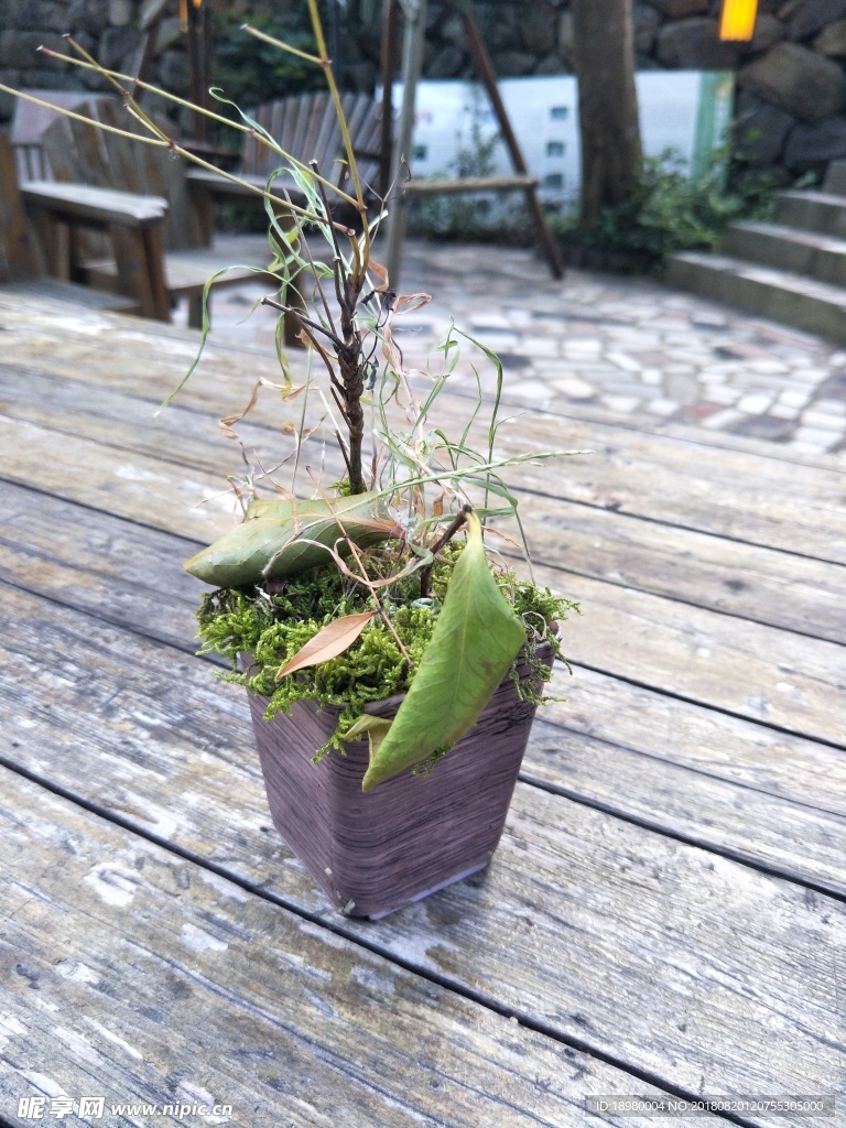 静物