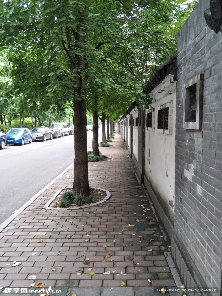 静谧小道