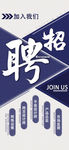 校园招聘简约手机海报用图