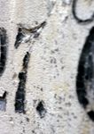 数字传情