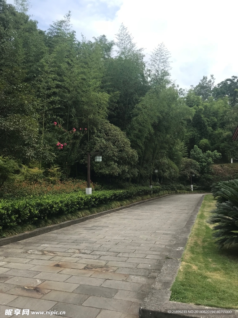 道路
