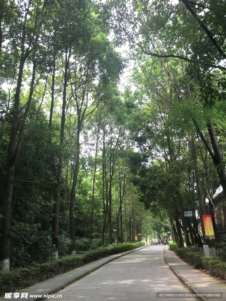 小径