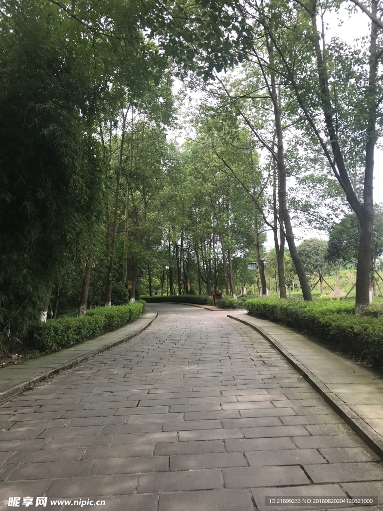 小径