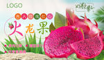 火龙果banner
