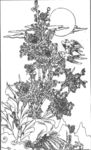 花鸟