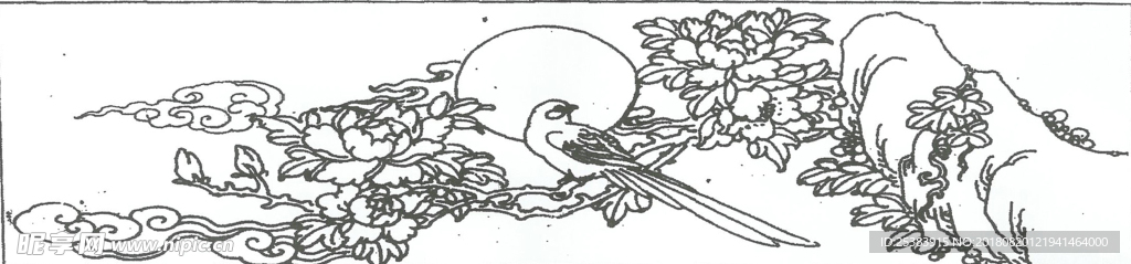 花鸟