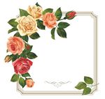 精美玫瑰花边框背景矢量素材