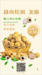 越南龙眼桂圆海报设计