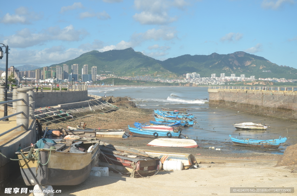 避风港