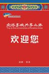 空港共享之旅通行证