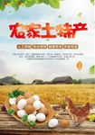 土鸡 土特产海报