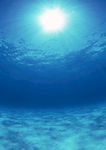 大海