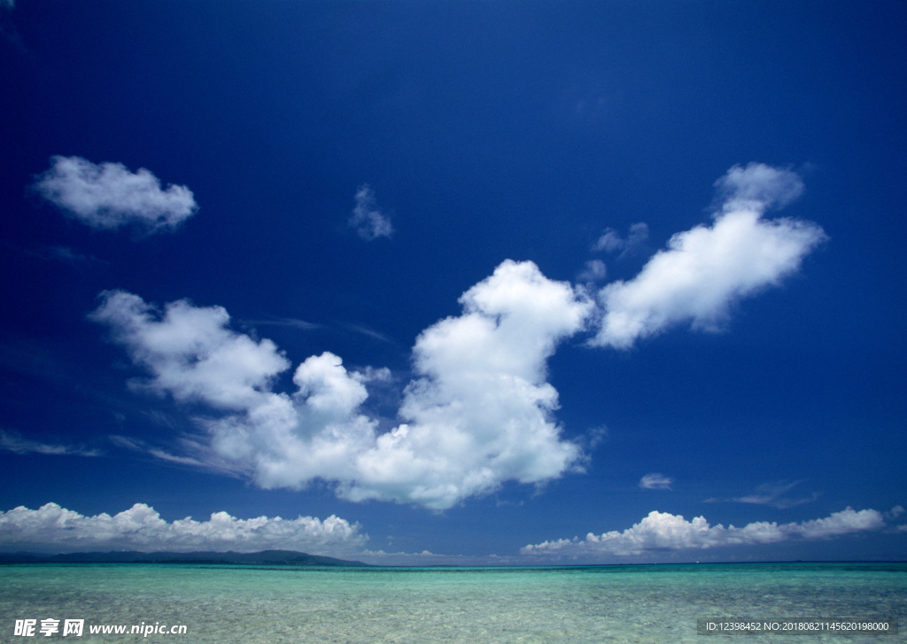 大海
