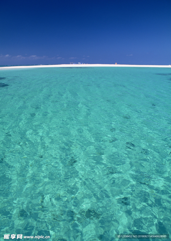 大海