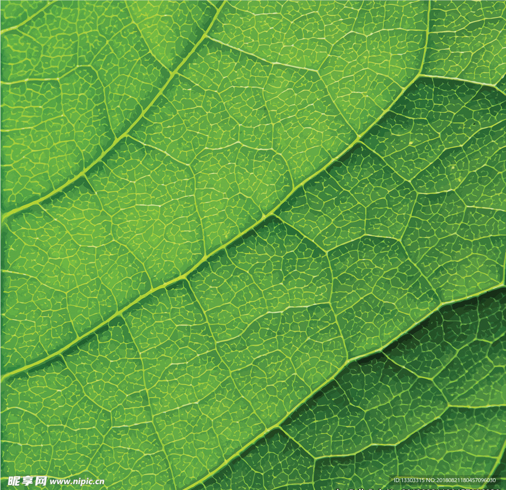 绿叶底纹背景