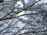 雪