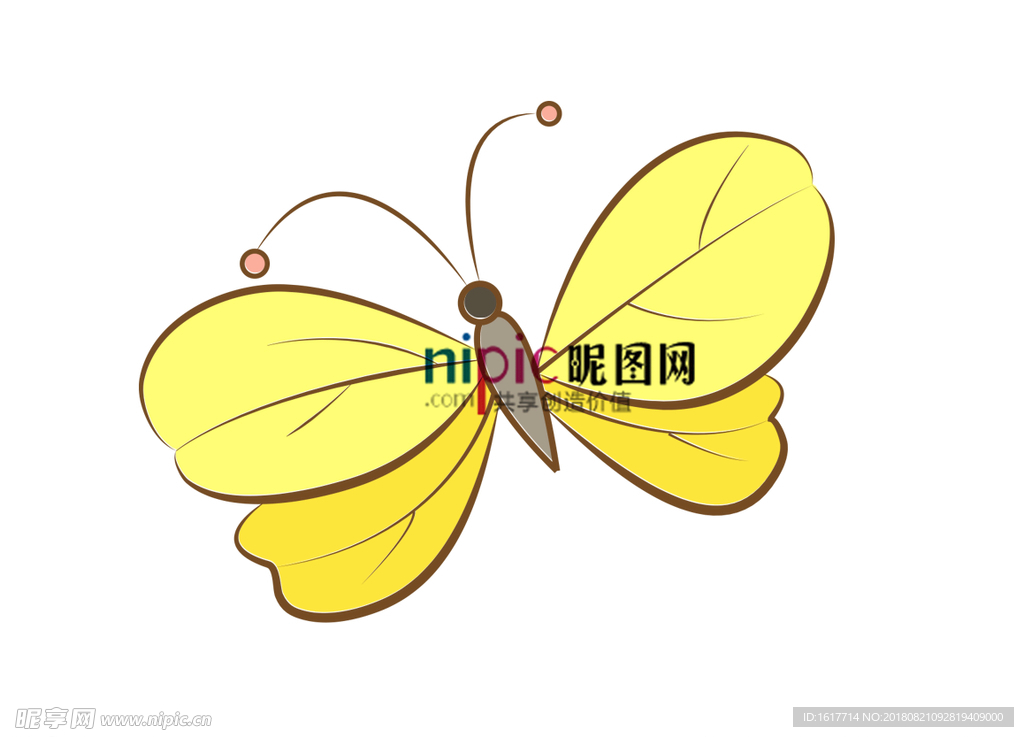 蝴蝶