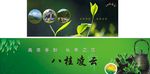 八桂凌云
