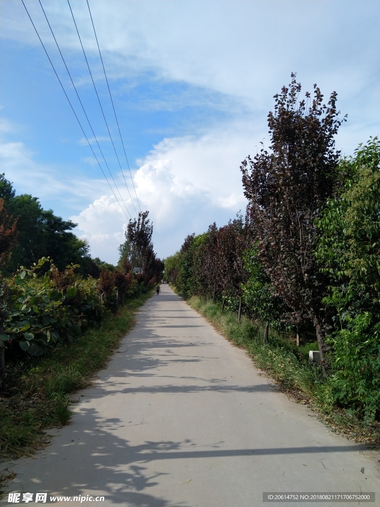 乡村道路风景