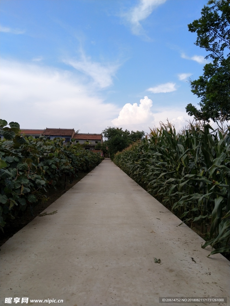 美丽的乡村风景