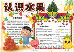 美食小报