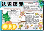 美食小报