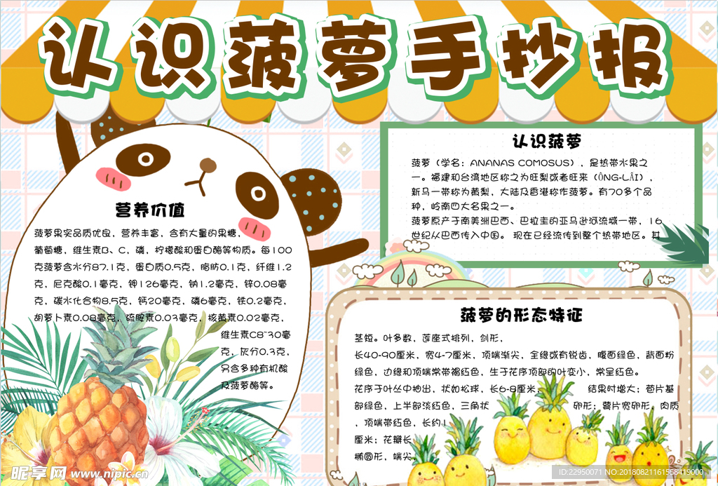 美食小报