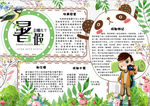 暑假小报