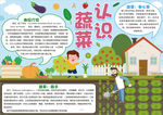 美食小报