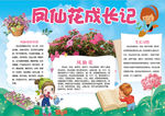 凤仙花成长小报