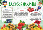 美食小报