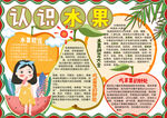 水果小报
