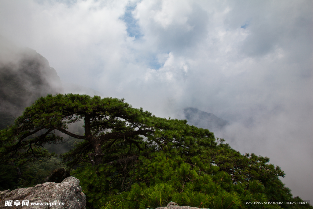 明月山