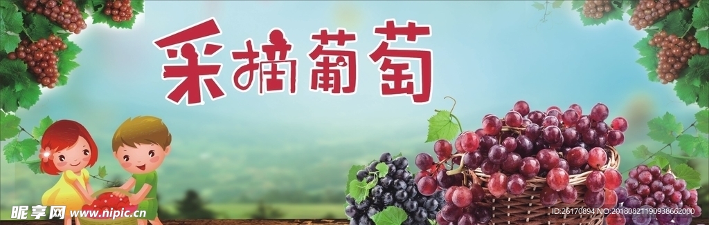 采摘