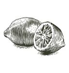 卡通水果图片