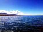 青海湖