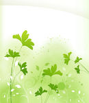 花纹