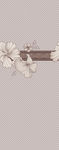 花纹