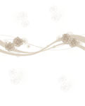 花纹  花藤