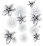 花纹