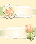 花纹