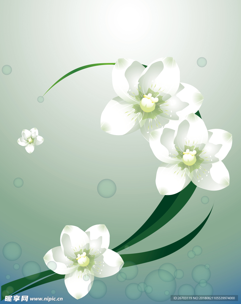 白花