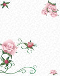 花纹  玫瑰