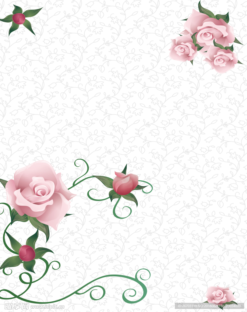 花纹  玫瑰